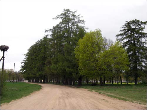Hałavičpole (Labiodka). Manor of Ivanoŭski