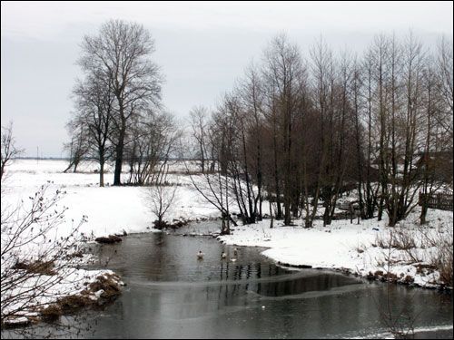 Žałudok. Landscapes