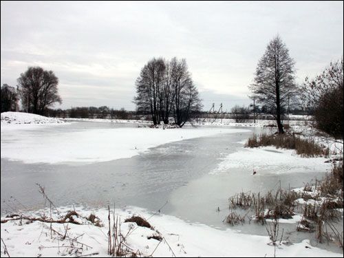 Žałudok. Landscapes
