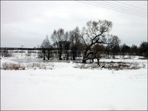 Žałudok. Landscapes