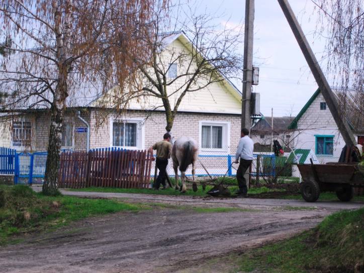 Žałudok. Landscapes