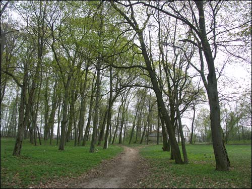  - Manor of Čačot (Czeczott). Park. Fragment