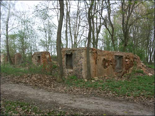  - Manor of Čačot (Czeczott). Ruins