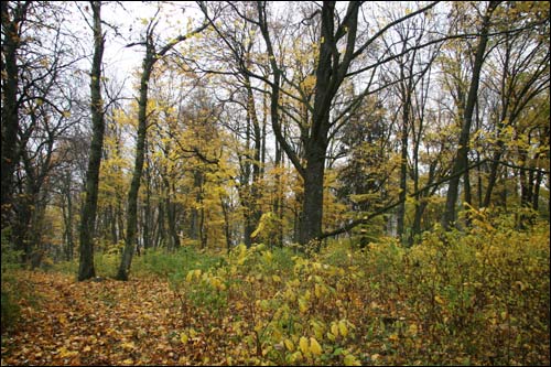  - Park dworski Rdułtowskich. W parku