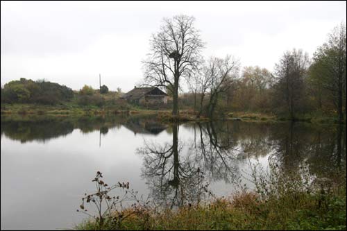  - Park dworski Rdułtowskich. Staw