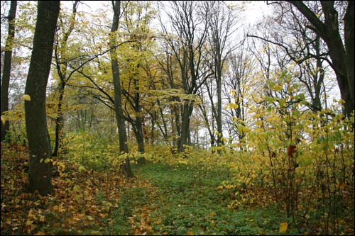 Czernichowo Górne. Park dworski Rdułtowskich
