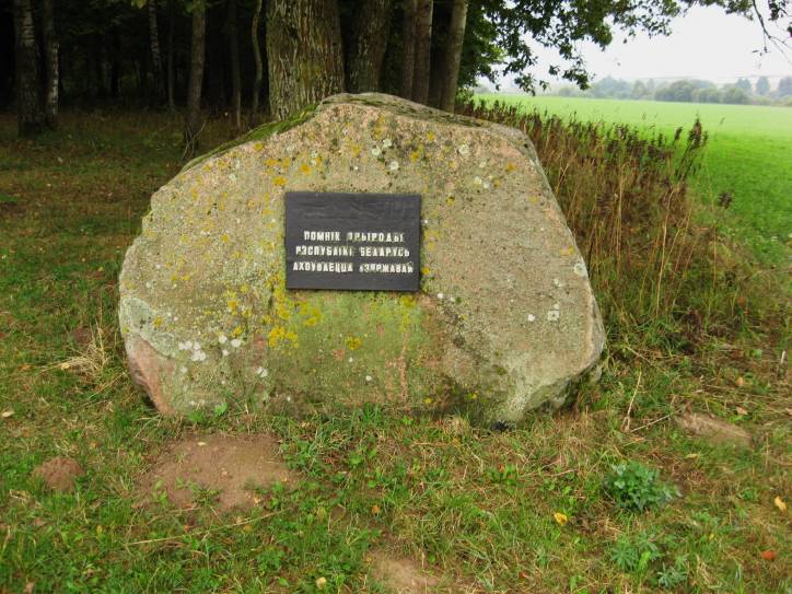 Bolcienniki. Zespół dworsko-parkowy 