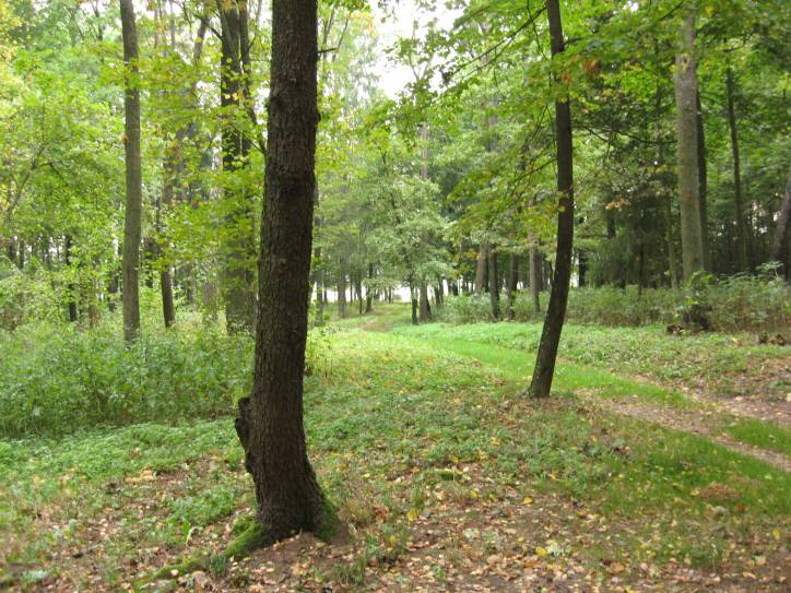 Bolcienniki. Zespół dworsko-parkowy 