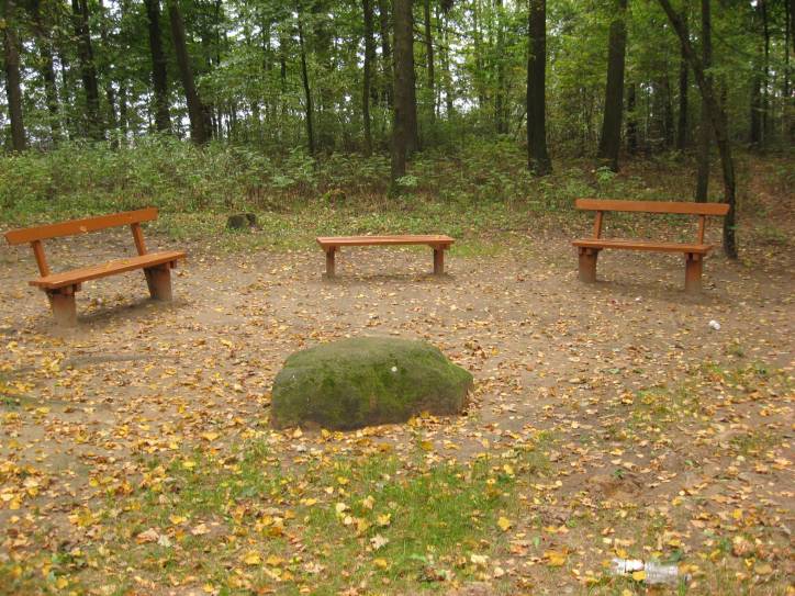 Bolcienniki. Zespół dworsko-parkowy 