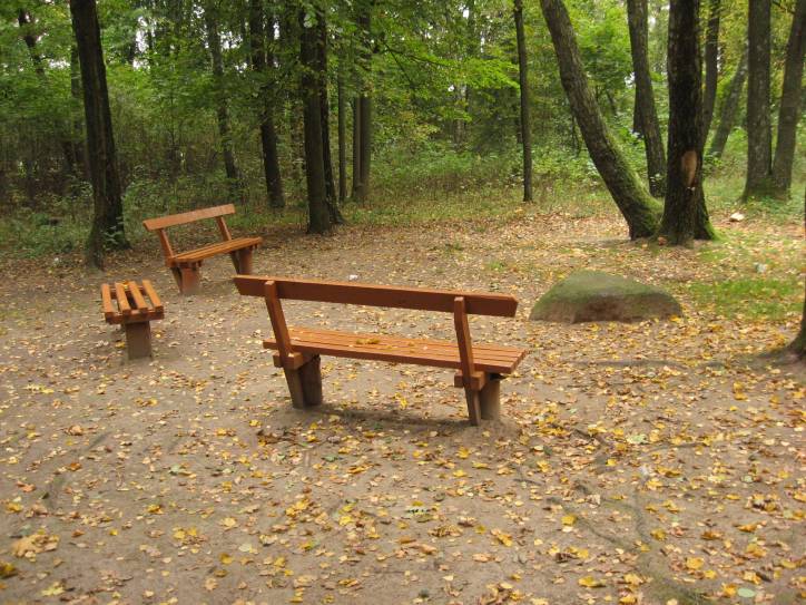 Bolcienniki. Zespół dworsko-parkowy 