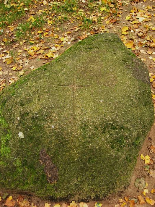 Bolcienniki. Zespół dworsko-parkowy 