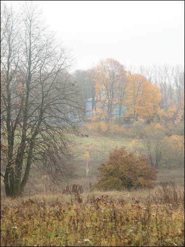Чэрніхава Верхняе. Краявіды 