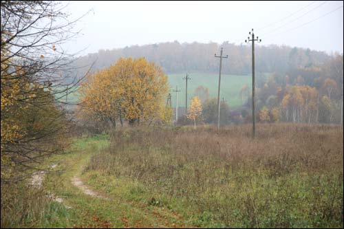 Чэрніхава Верхняе. Краявіды 
