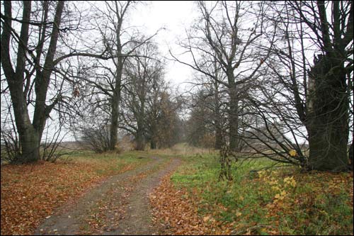 Чэрніхава Верхняе. Краявіды 