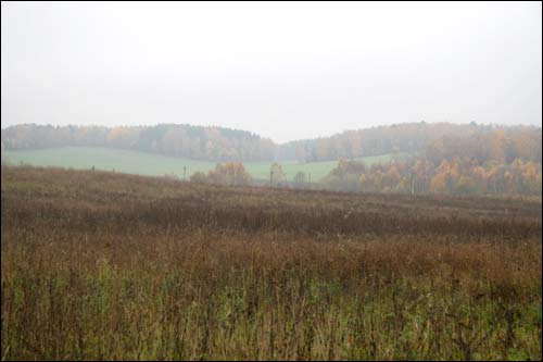 Чэрніхава Верхняе. Краявіды 