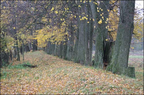 Чэрніхава Верхняе. Краявіды 