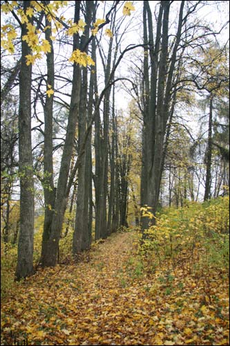 Чэрніхава Верхняе. Краявіды 
