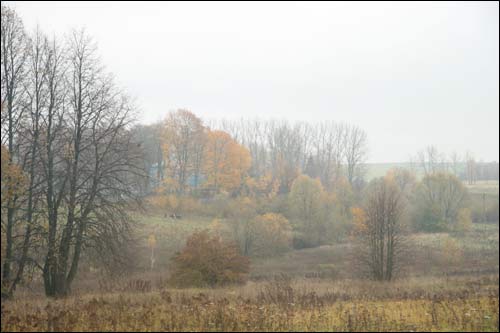 Černichava Vierchniaje. Landscapes 