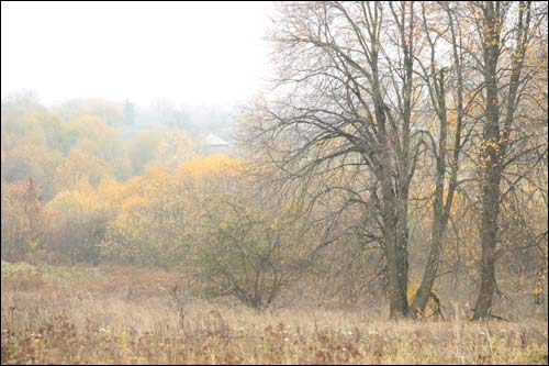 Чэрніхава Верхняе. Краявіды 