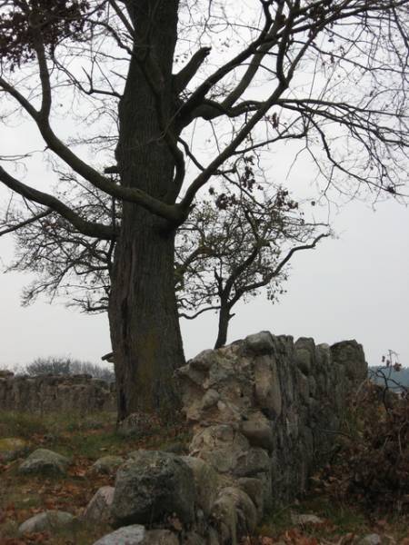 Ivaškavičy.  The Rock graves