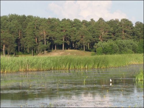 Roscievičy. Landscapes 
