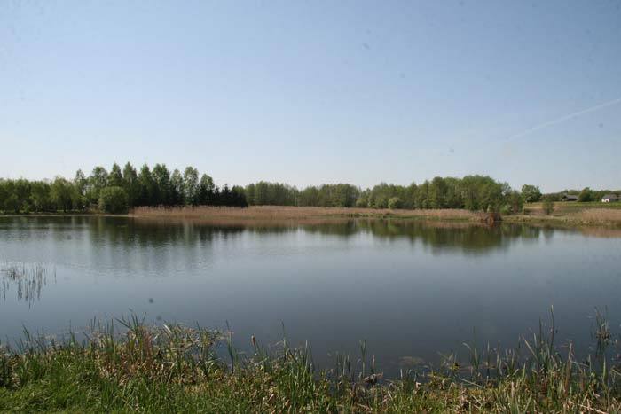  - Water-mill . The pond