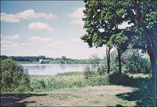 Damaševičy. Manor park of the Lej former Manor-place