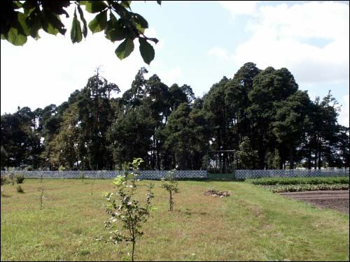 Iŭie.  cemetery Tartarian