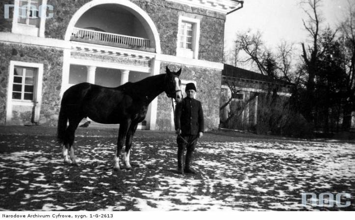 Žałudok. Estate of Śviatapołk-Čaćviarcinski
