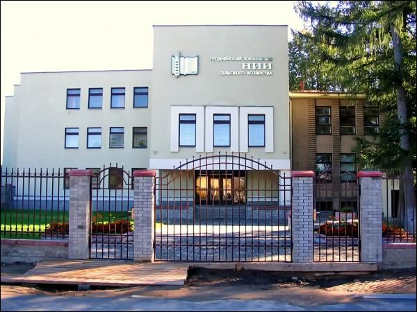  - Вуліцы гораду . 