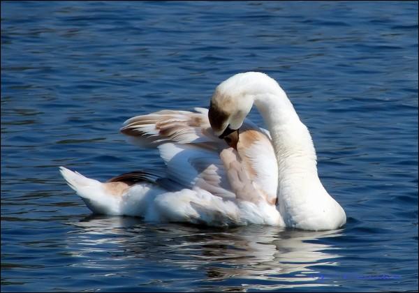  - Вуліцы гораду . 