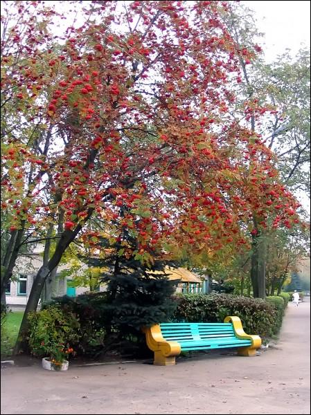  - Вуліцы гораду . 