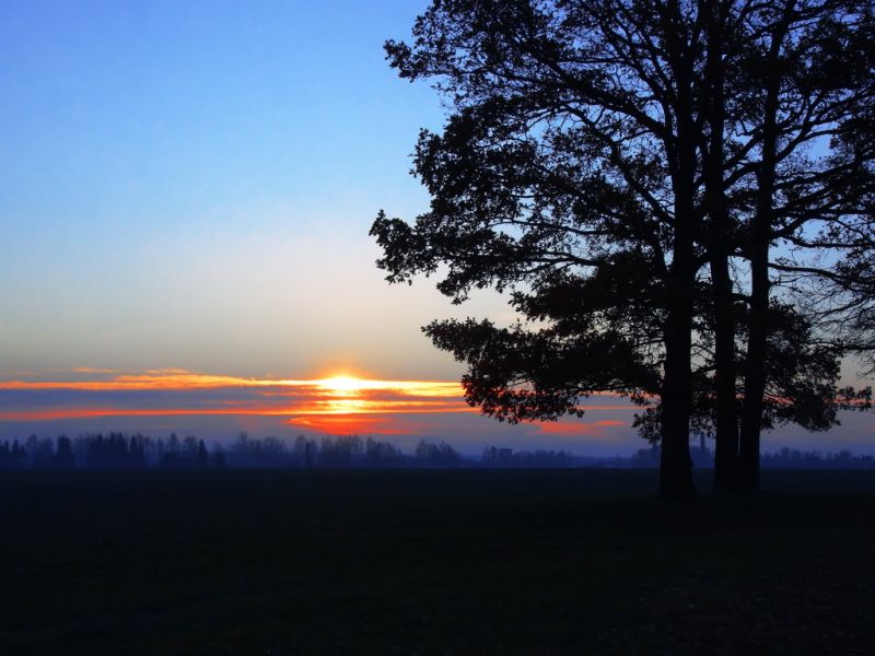  - Вуліцы гораду . 