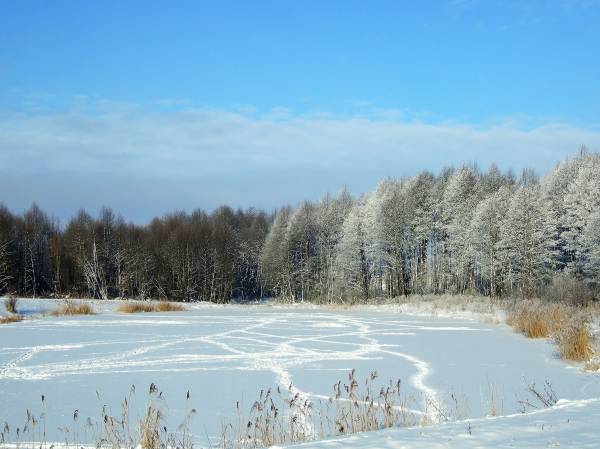  - Вуліцы гораду . 
