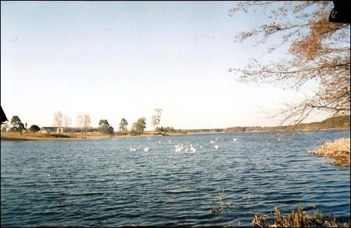 Жемыславль. Пейзажи 