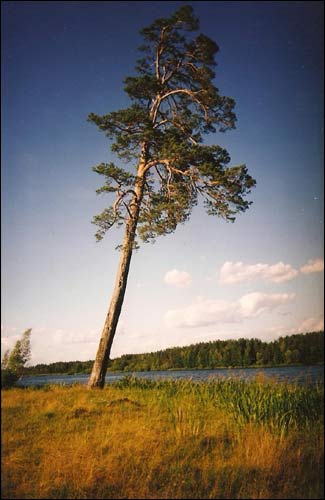 Жемыславль. Пейзажи 