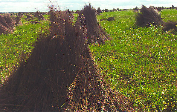 Жемыславль. Пейзажи 