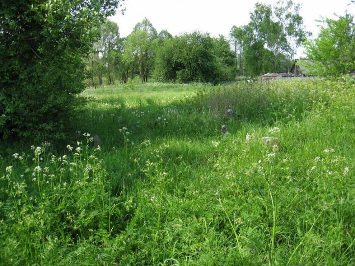 Уселюб. Могілкі габрэйскія