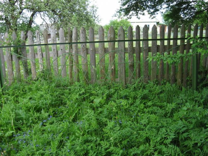 Уселюб. Могілкі габрэйскія