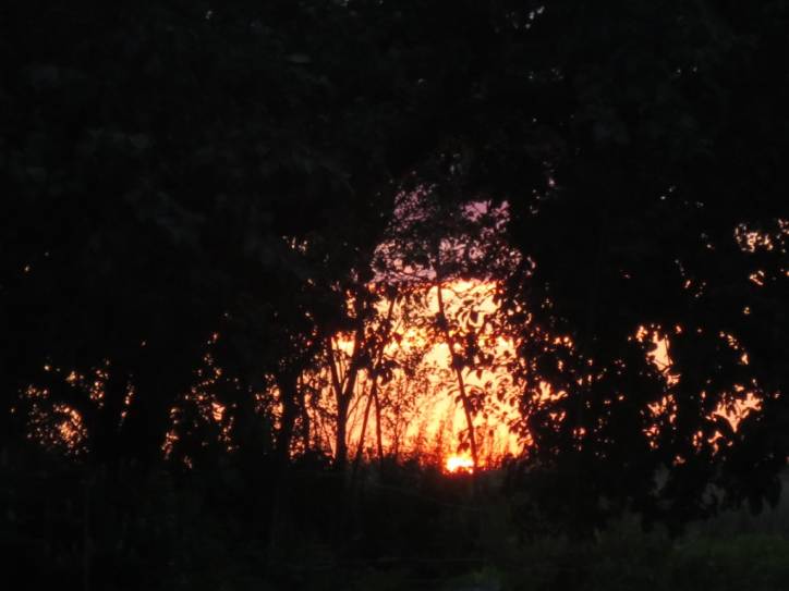 Mir. Landscapes 