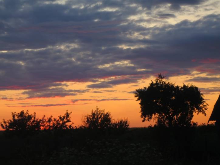 Mir. Landscapes 