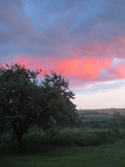 Mir. Landscapes 