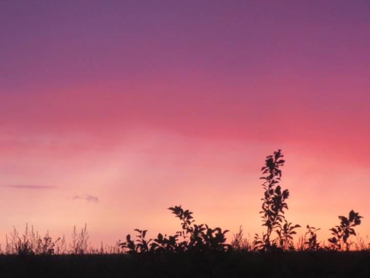 Mir. Landscapes 