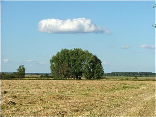 Щорсы. Пейзажи 