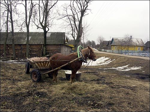 Щорсы. Пейзажи 