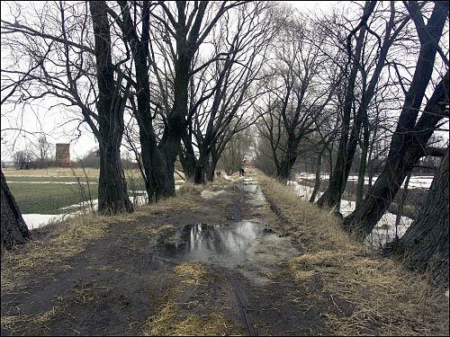 Щорсы. Пейзажи 