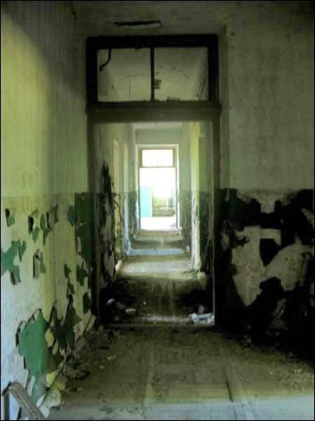 Радзівілкі. Сядзібна-паркавы ансамбль 