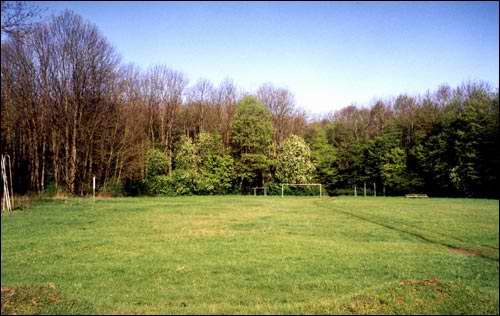 Dziewiątkowicze Nowe. Zespół pałacowo-parkowy Śliźniów