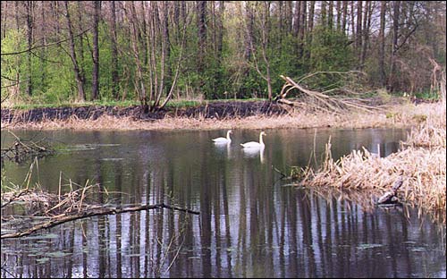 Dziewiątkowicze Nowe. Zespół pałacowo-parkowy Śliźniów