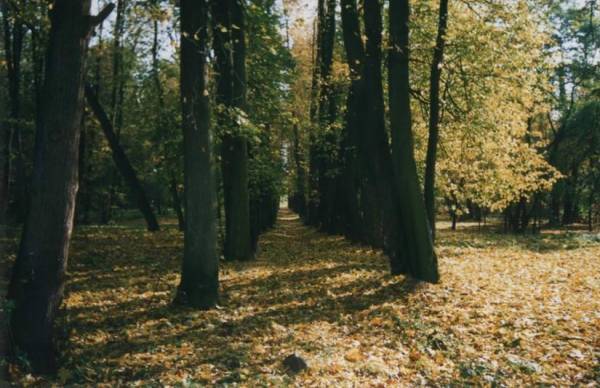 Massalany. Dwór Bispingów